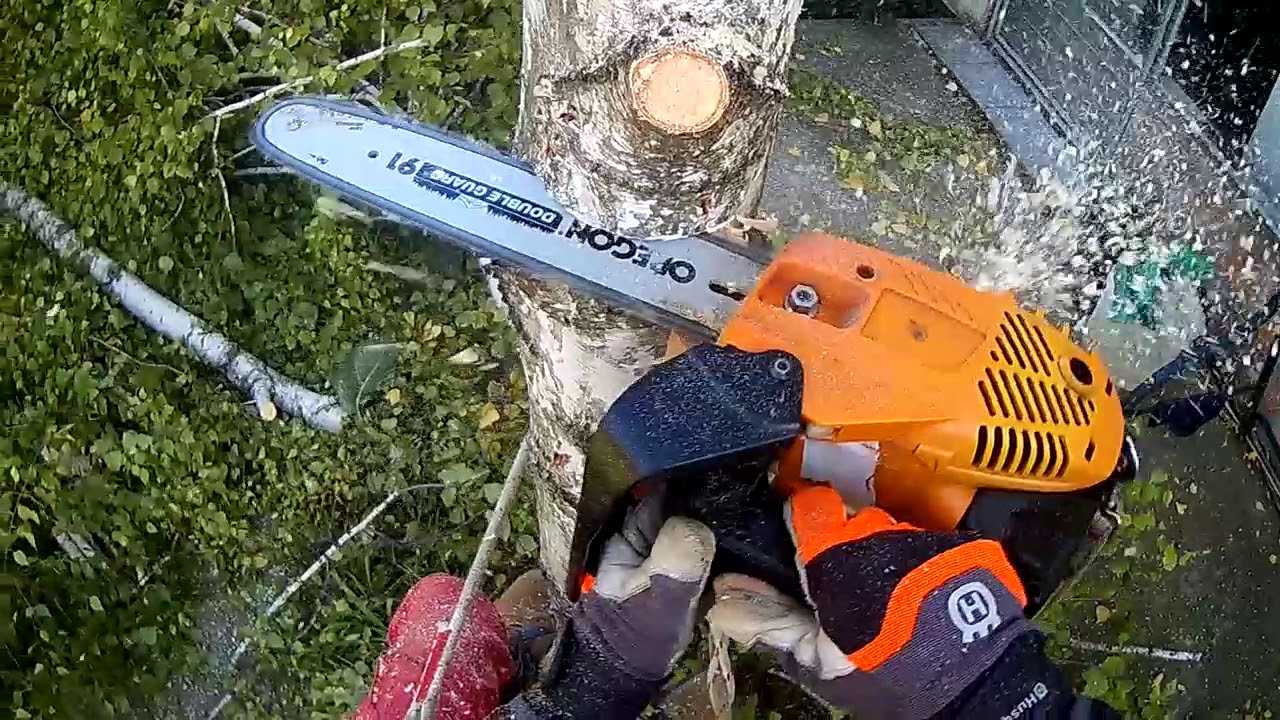 Cutting Three birches