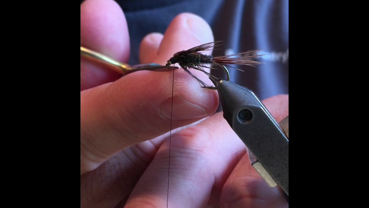 Fly tying- little black stonefly, Steelhead