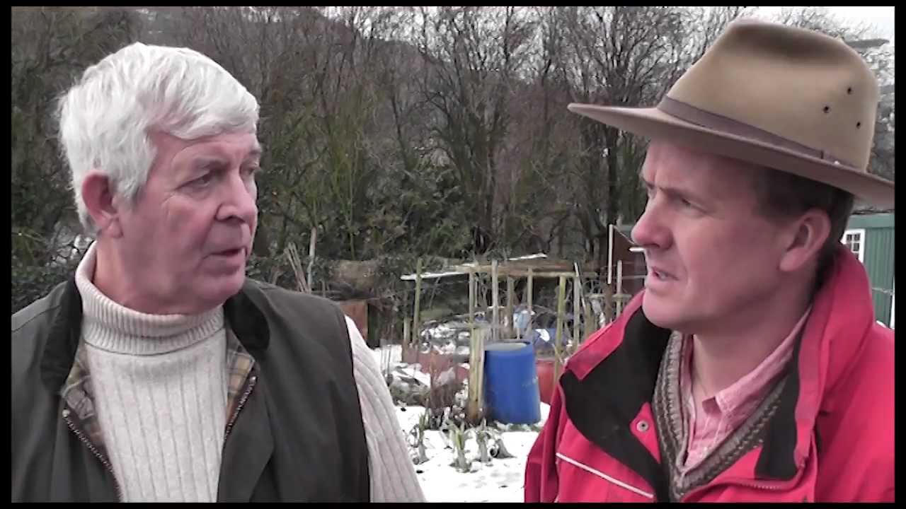 Tales From Terry's Allotment - FEB 2012