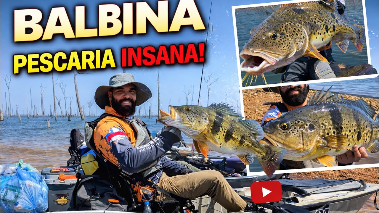 Pescaria insana - surreal .