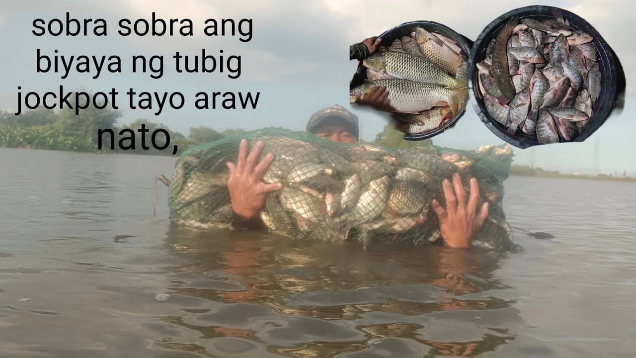 Sobra sobra ang biyaya ng tubig jockpot tayo araw nato, #fishing #fish #328  