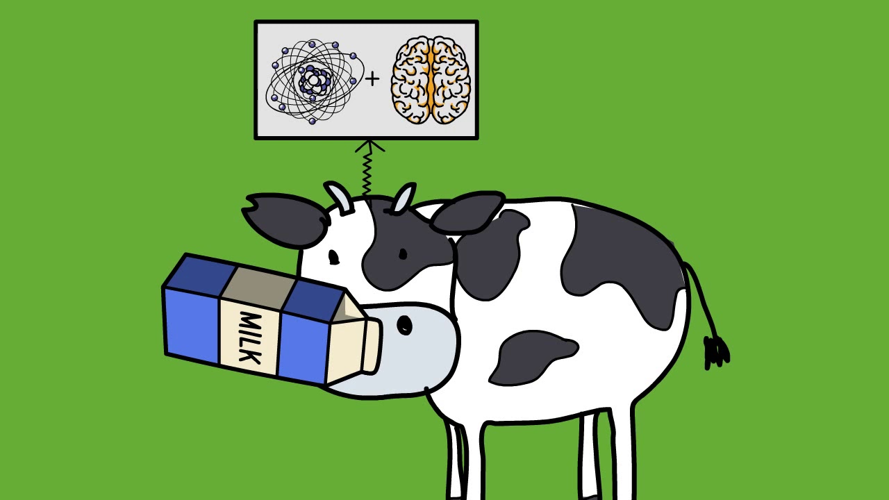 How does Instinct work?