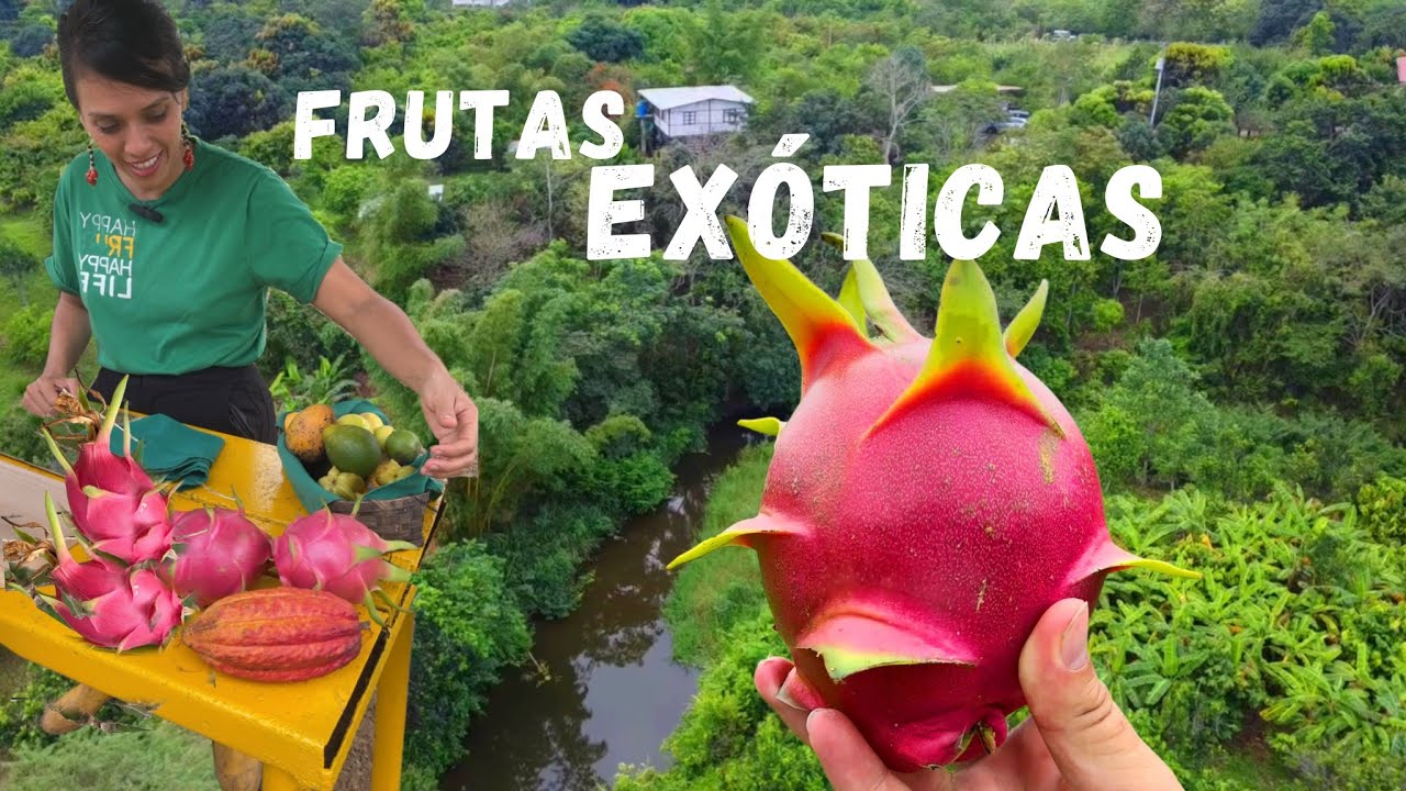 HEREDÓ la FINCA DE SU PADRE y ahora cosecha  VARIEDAD DE FRUTAS🌴🥝🫒 Josué y Elie