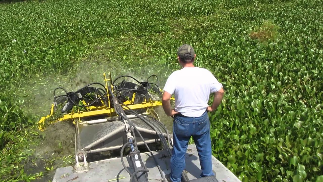 AQUATIC SHREDDER VIDEO 3