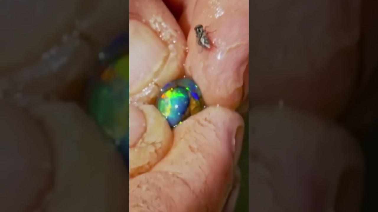 Beautiful Full Spectrum Opal Was Hiding Just Beneath The Surface! #shorts #outbackopalhunters