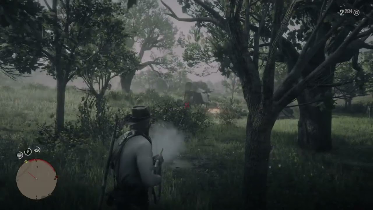 Red Dead Redemption 2_20260214175930