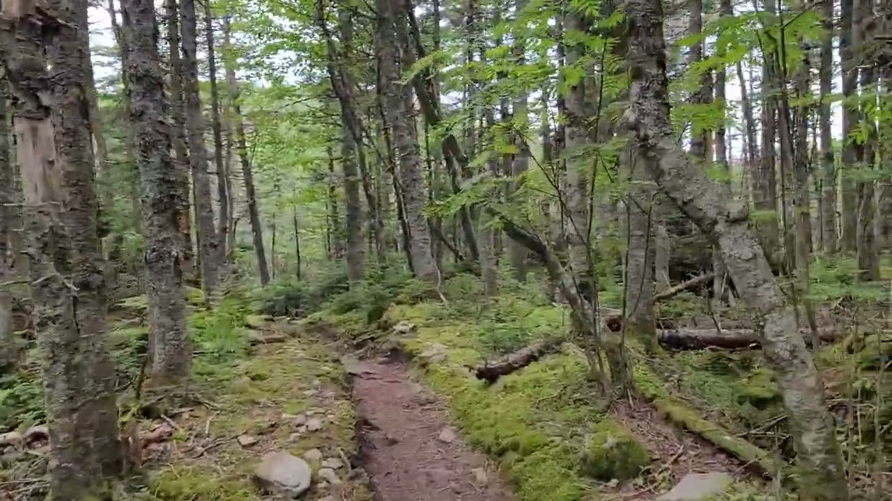 Horns Pond, Original 1936 Lean To Appalachian Trail Shelter and Wilderness Areas