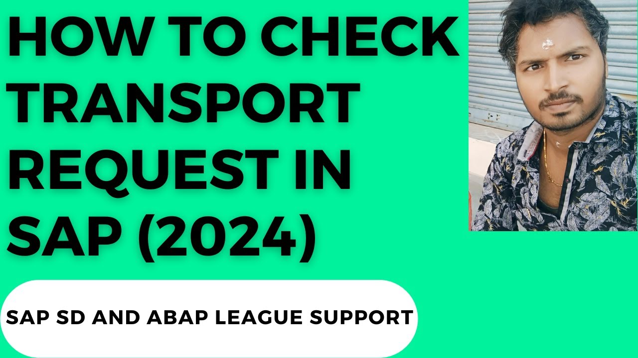 How to check transport request in SAP (2024)