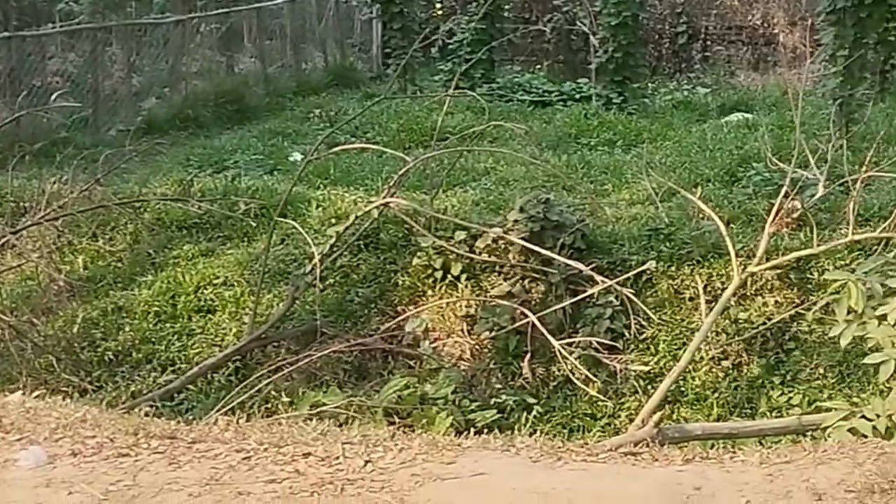 Chittagong practical.❤️🌹#trending #vlogvideo #vrailvideo 