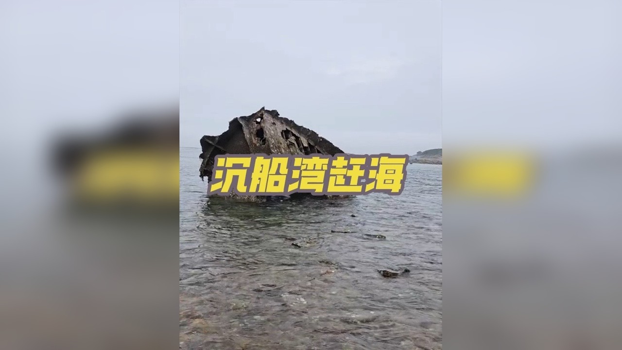 赶海时发现一艘沉船！看我们在沉船能赶到什么宝贝！