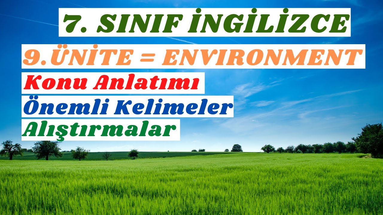 7. SINIF İNGİLİZCE 9. ÜNİTE ENVIRONMENT | Konu Anlatımı, Önemli Kelimeler, Alıştırmalar, +PDF
