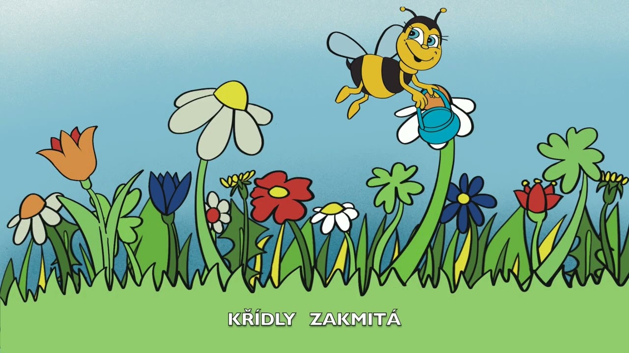 Rarášci / Včelí pravidla