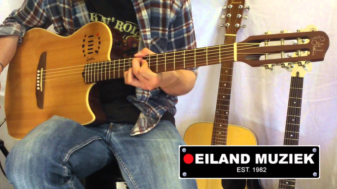 Godin Multiac Steel Duet