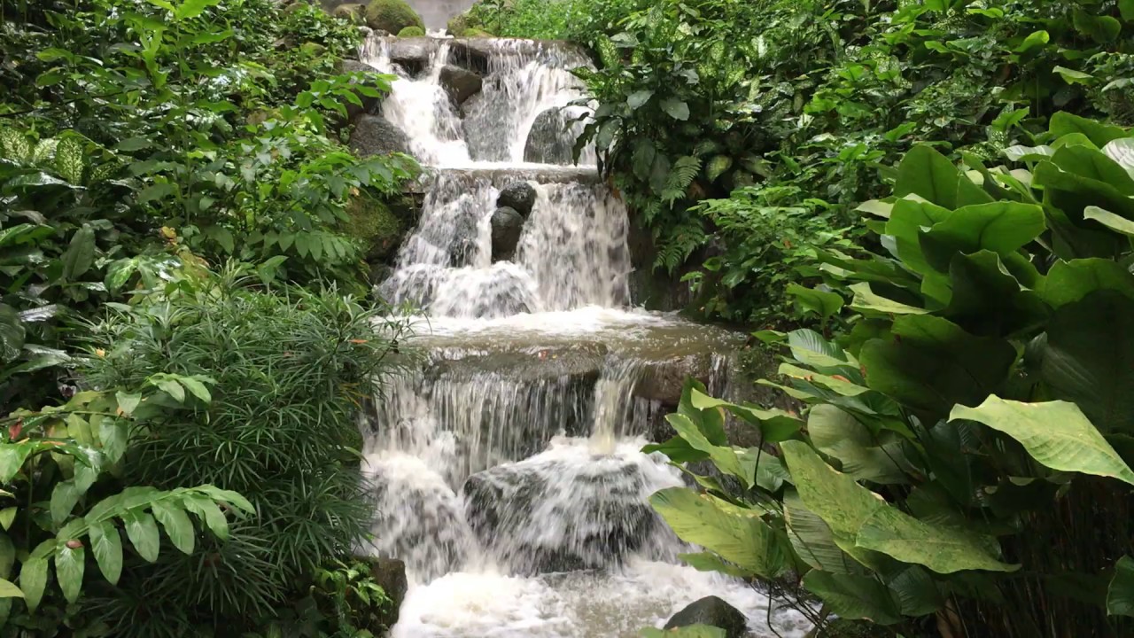 Waterfall Aviary at Birds Park, Singapore