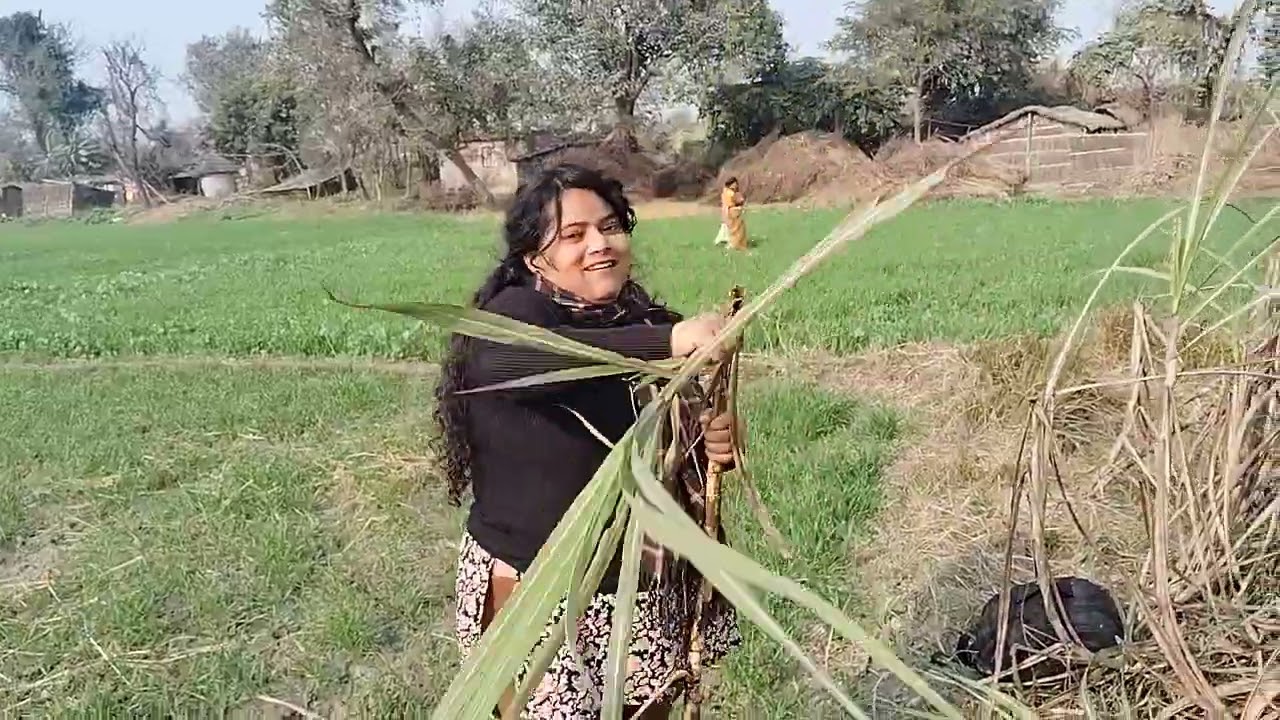 Field + Ganne ka khat 🙄🙄🙄