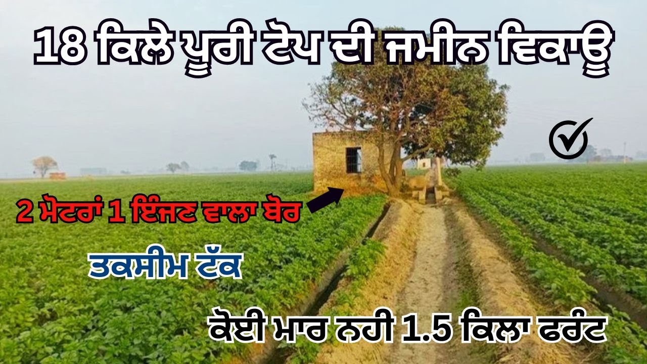 18 ਕਿਲੇ ਪੂਰੀ ਟੋਪ ਦੀ ਜਮੀਨ ਵਿਕਾਊ 2 ਮੋਟਰਾਂ 1 ਇੰਜਣ ਵਾਲਾ ਬੋਰ ਤਕਸੀਮ ਟੱਕ ਕੋਈ ਮਾਰ ਨਹੀ 1 5 ਕਿਲਾ ਫਰੰਟ