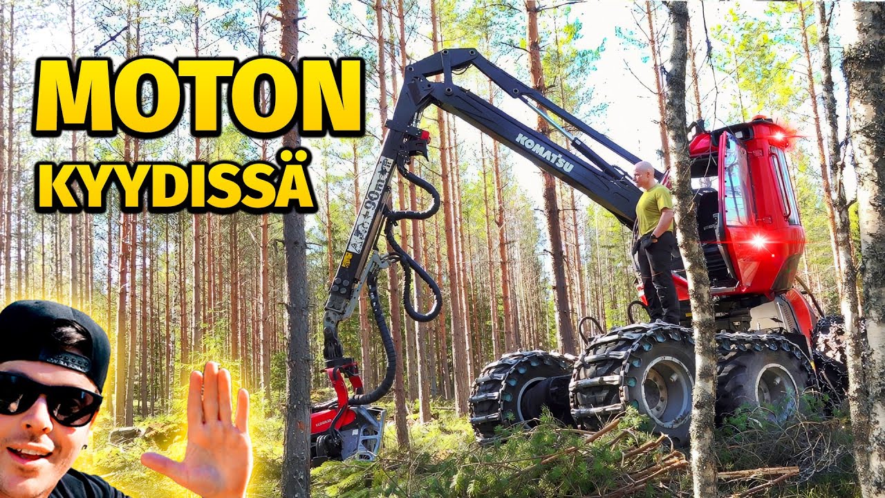 Moto saapui metsään!! Harvennusta ja tukkia.
