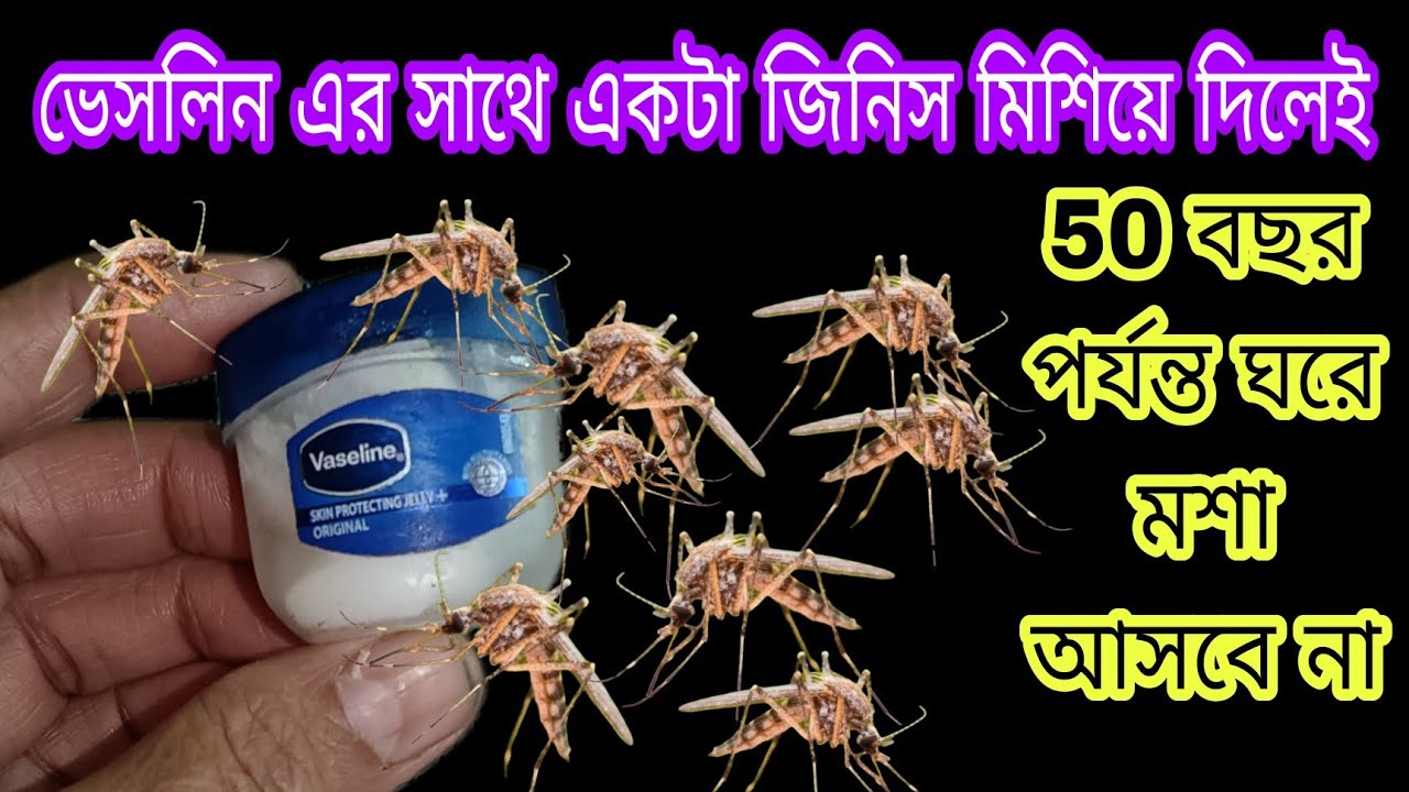 ভ্যাসলিনে একটা জিনিস দিলে ।। 50 বছর পর্যন্ত ঘরে মশা আসবে // কেমিক্যাল ছাড়াই মশা তাড়ানোর পদ্ধতি