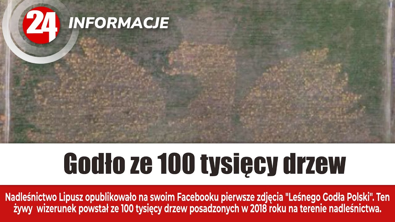 Niezwykłe godło ze 100 tysięcy drzew