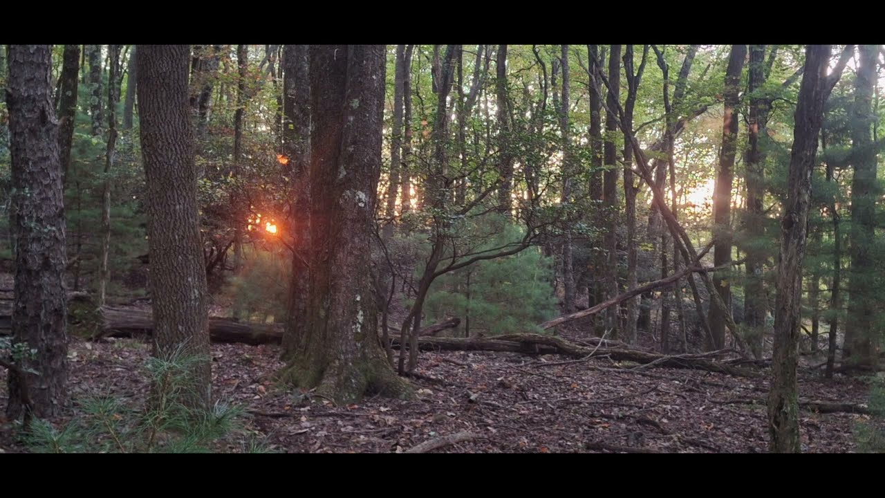 Bike Packing New York to Maine and beyond Ep. 67 heading South on the Blue ridge. 