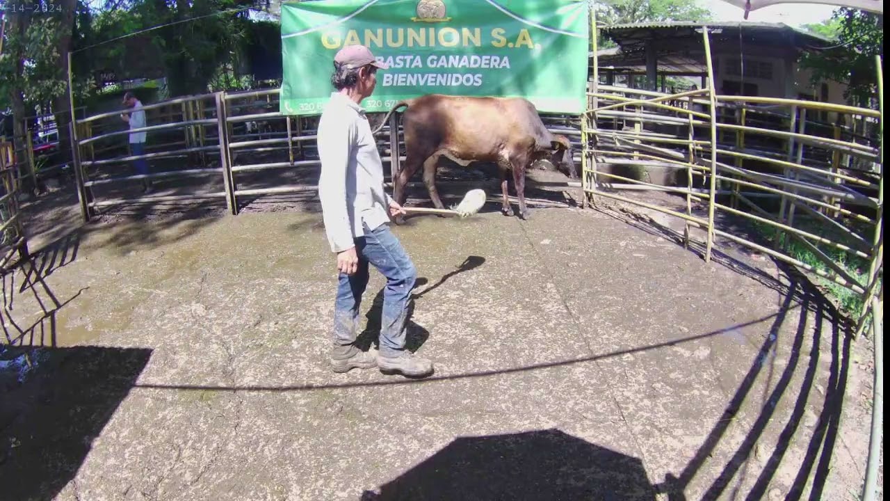 Lote Nro. 279