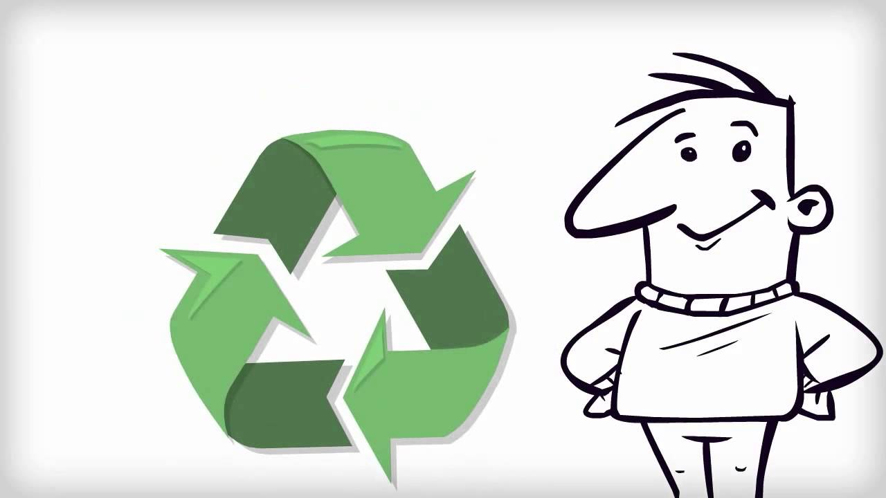 How To Get Rid of Fleas Willis TX