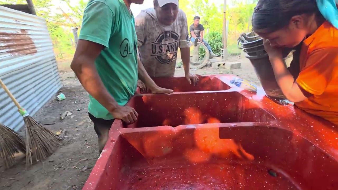 Así quedo la pila de Cushin y familia colocada. 