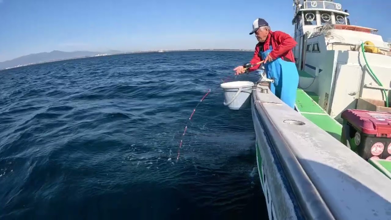 相模湾・茅ヶ崎沖のコマセマダイ釣り