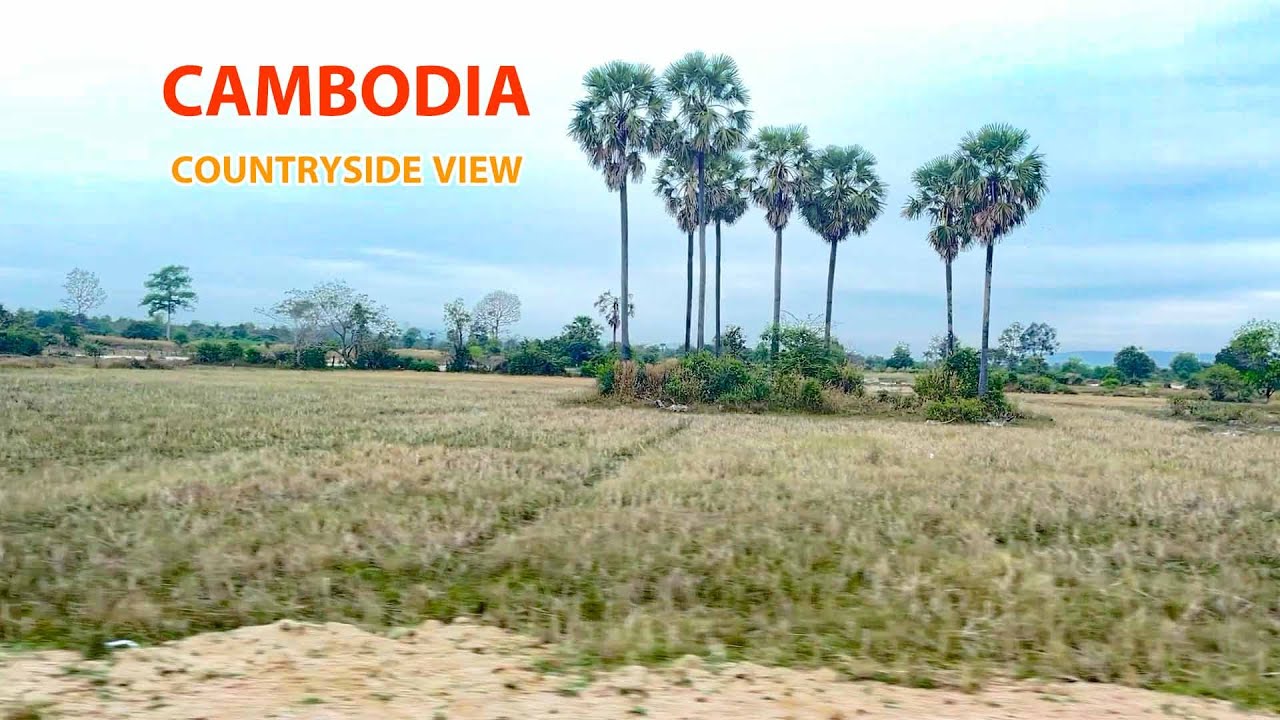 Scenic Ride in Cambodia Village Roads: Countryside Views  Village   Roads [ Mr Lee Village Tour ]