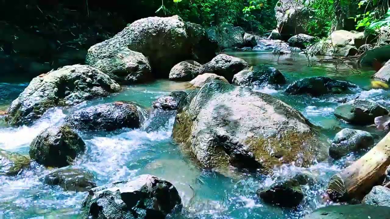 Forest Ambiance, Beautiful Flowing Water Sounds for Deep Sleep, Rest, and ASMR Healing