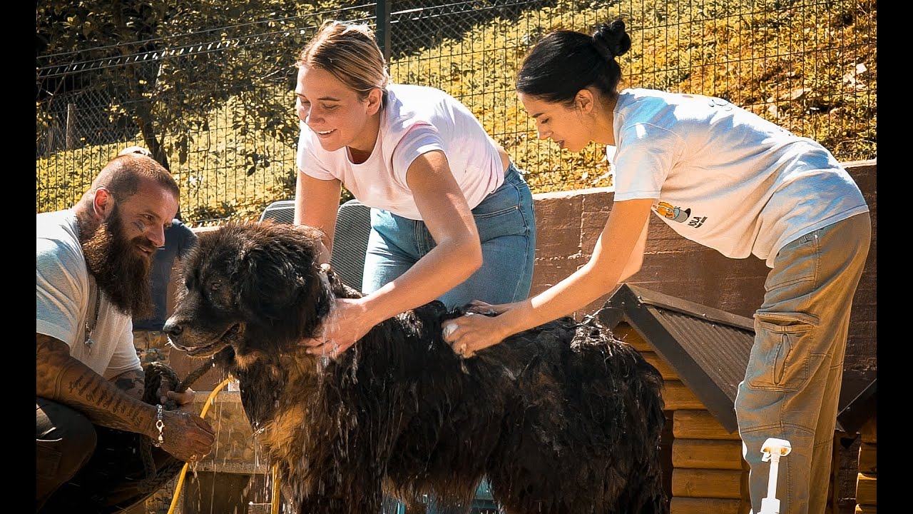 Nola Grooming House besucht uns! Danke Andrea und Team