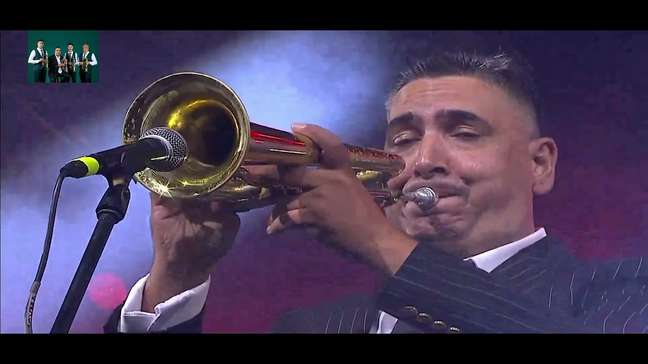 EKREM MAMUTOVIC GUCA KONCERT 2024 ZEMLJOTRES COCEK
