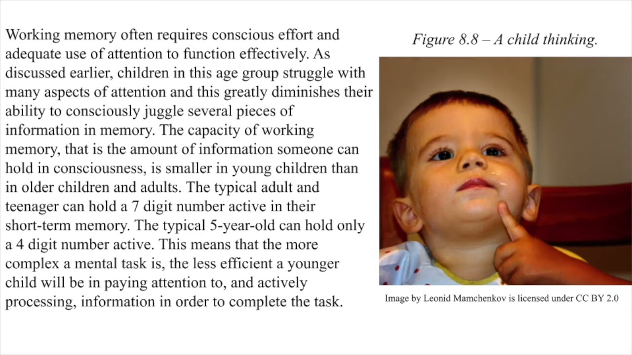 Ch. 8 Information Processing: Attention & Memory