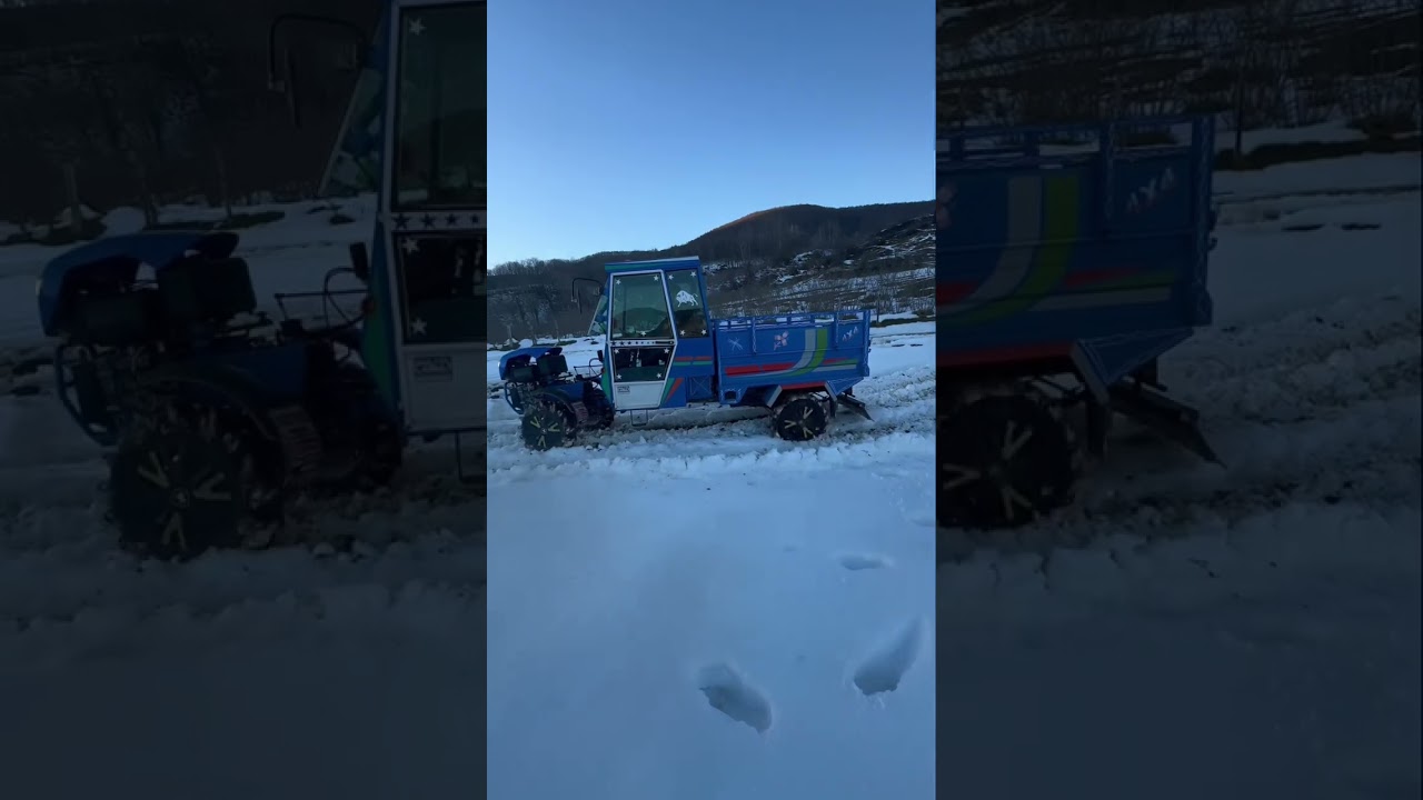 BOLAT VS YAĞMUR  ARAZİDE SÜRDÜK