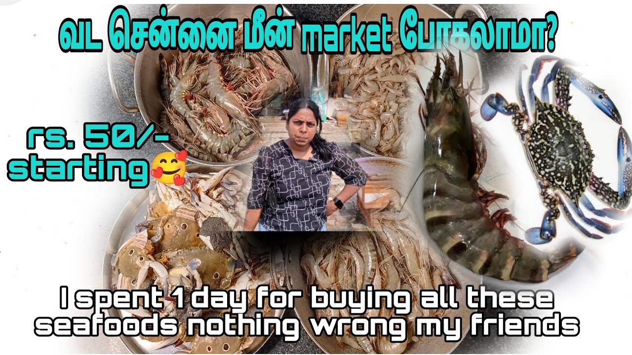 இவ்வளவு நாள் மீன் இறால் வாங்க போய் இப்படி கஷ்டப்பட்டதில்லை Pazhaverkadu fish market is worth or not