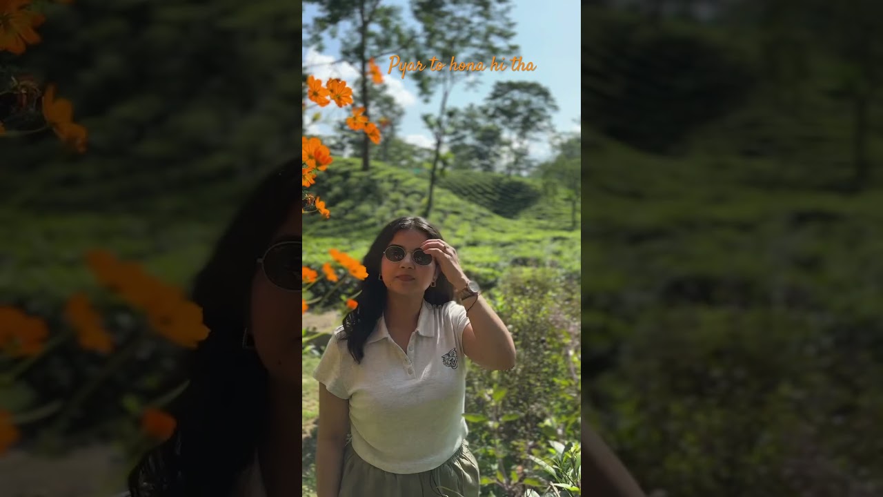Beautiful tea estate in Assam is what one needs in Spring.