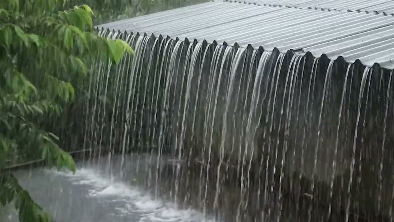 Rain Sounds for Stress Relief and Better Sleep