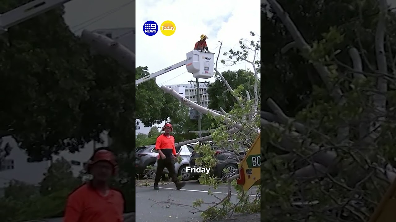 Queensland on cyclone watch as risk intensifies | 9 News Australia