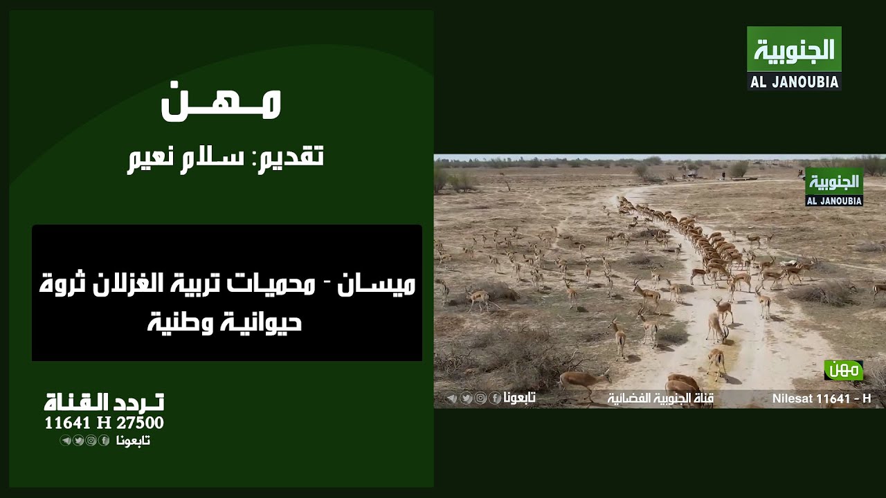 مهن || ميسان - محميات تربية الغزلان ثروة حيوانية وطنية
