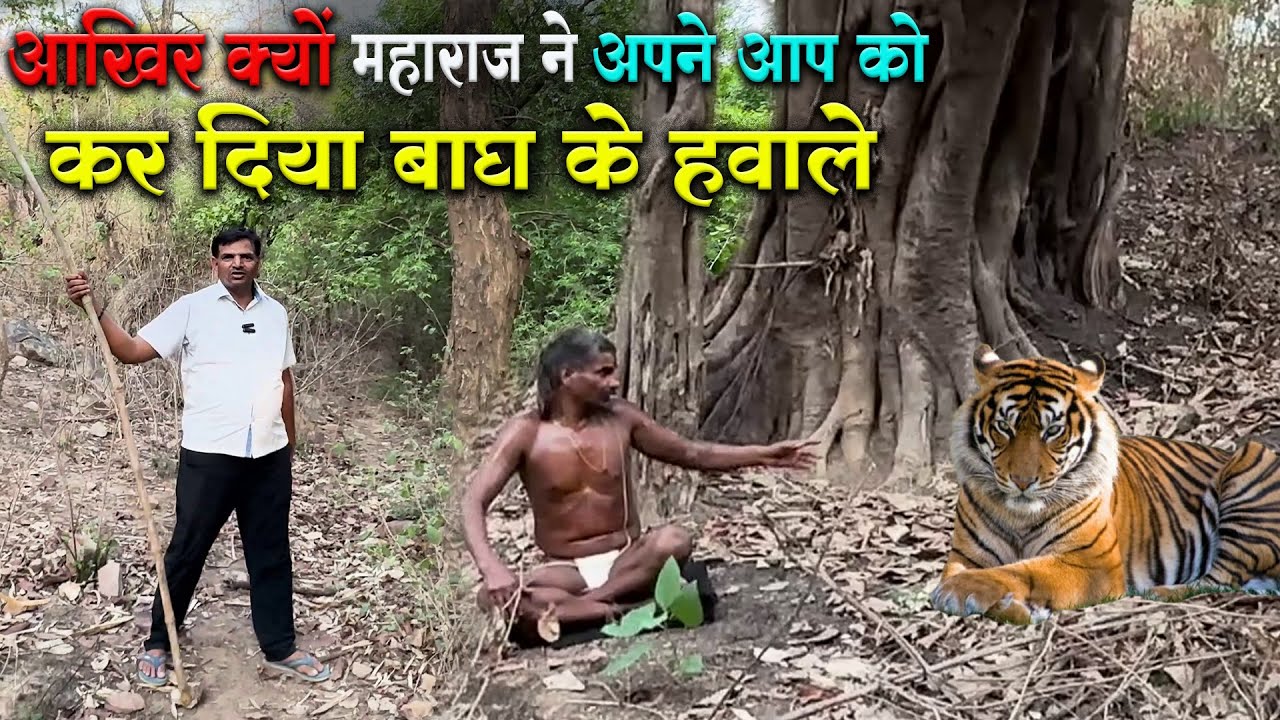 आखिर क्यों महाराज ने अपने आप को कर दिया बाघ के हवाले #guru_gyan_gaurav @gurugyangaurav