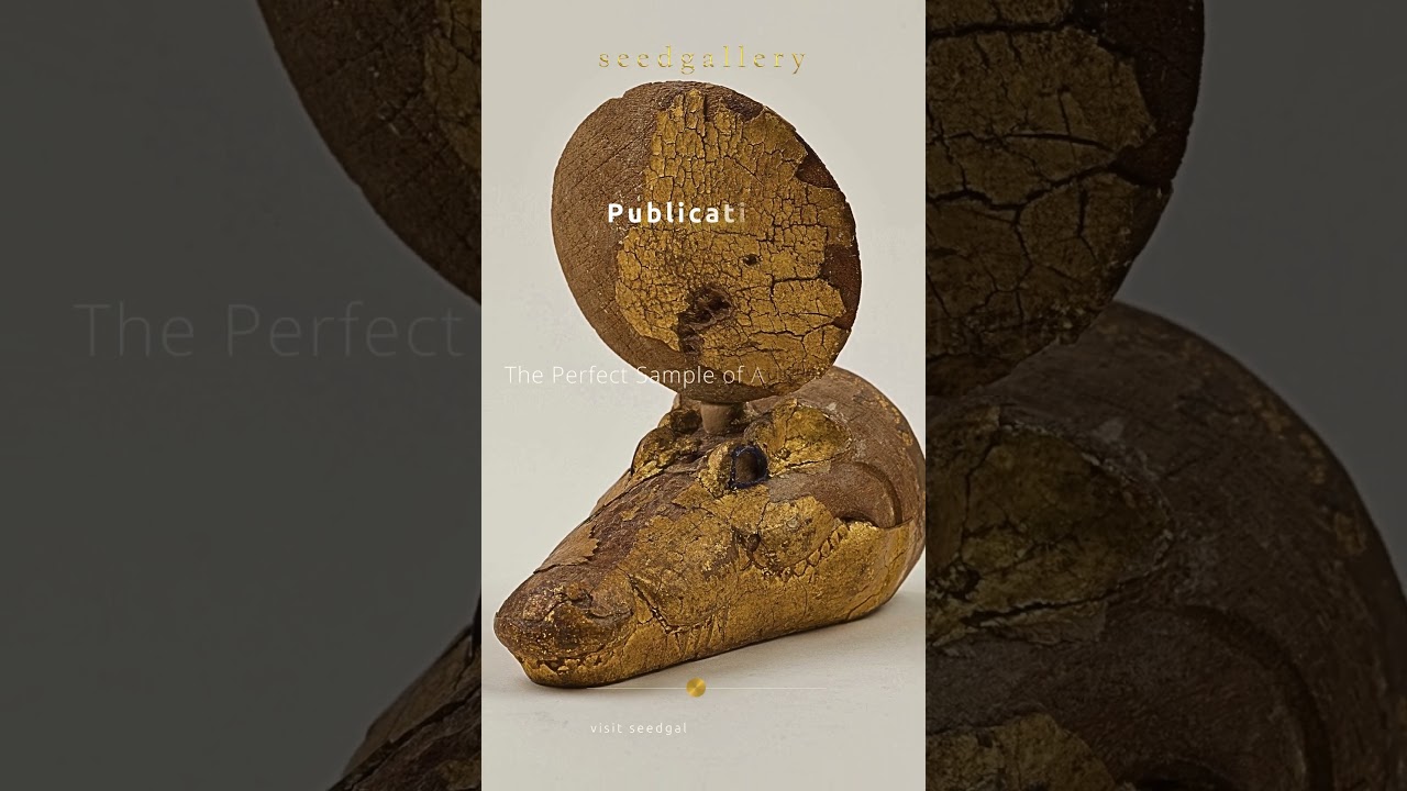 Shop Publications | Seed Gallery #publications #art #inspiration #drawing #artbooks #shop #shorts