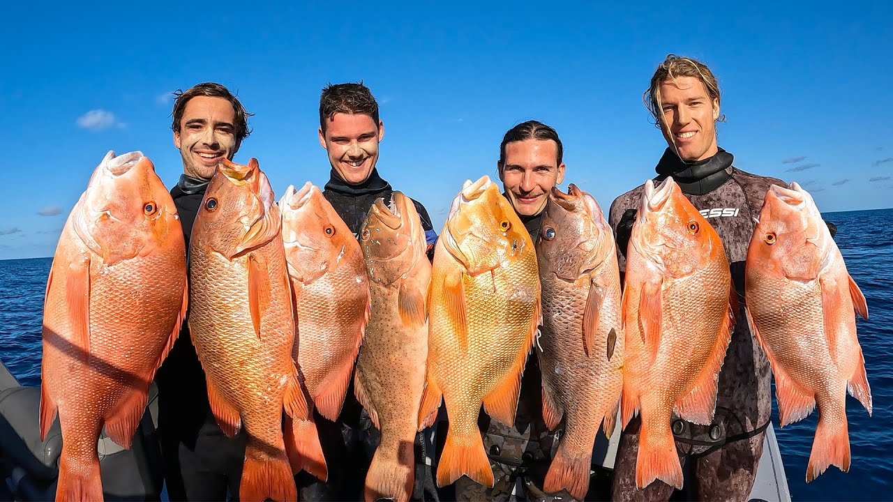 RED EMPEROR HEAVEN - Spearfishing Australia’s Great Barrier Reef
