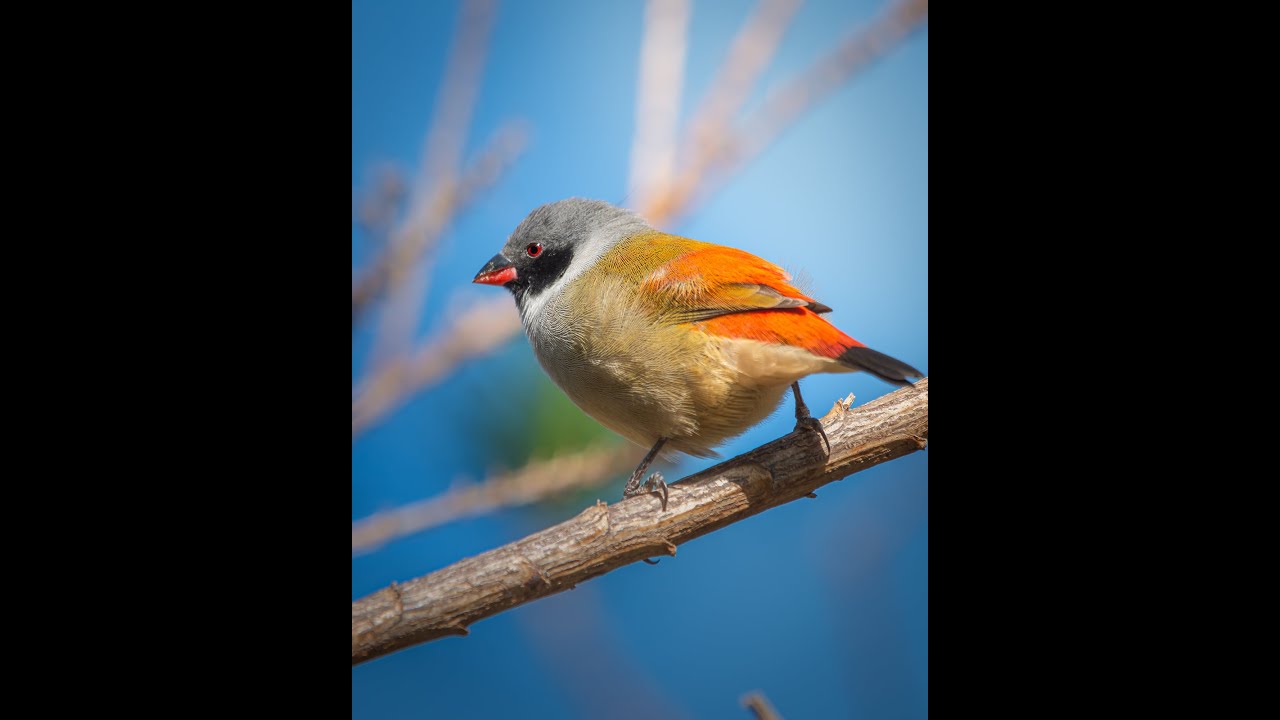 4K Photo Portfolio 2024