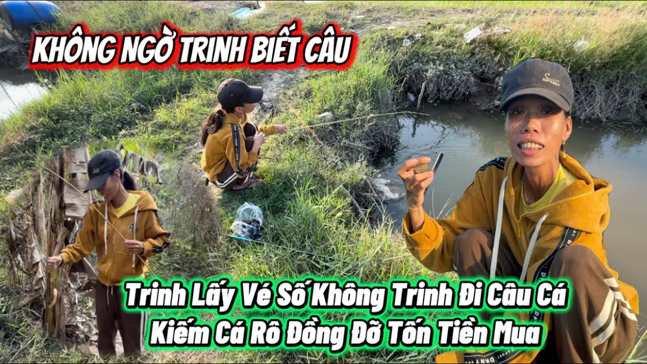 Không Hiểu Lý Sao Không Dám Giao Vé Số Trinh Nên Hôm Nay Trinh Ra Đồng Câu Cá Đỡ Tốn Tiền Mua đồ ăn 