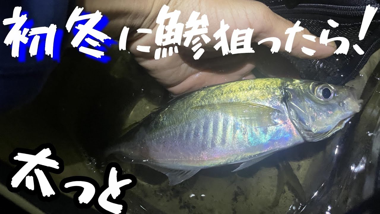ナイスサイズ！瀬戸内海で初冬のアジング。＠釣りに行こうか