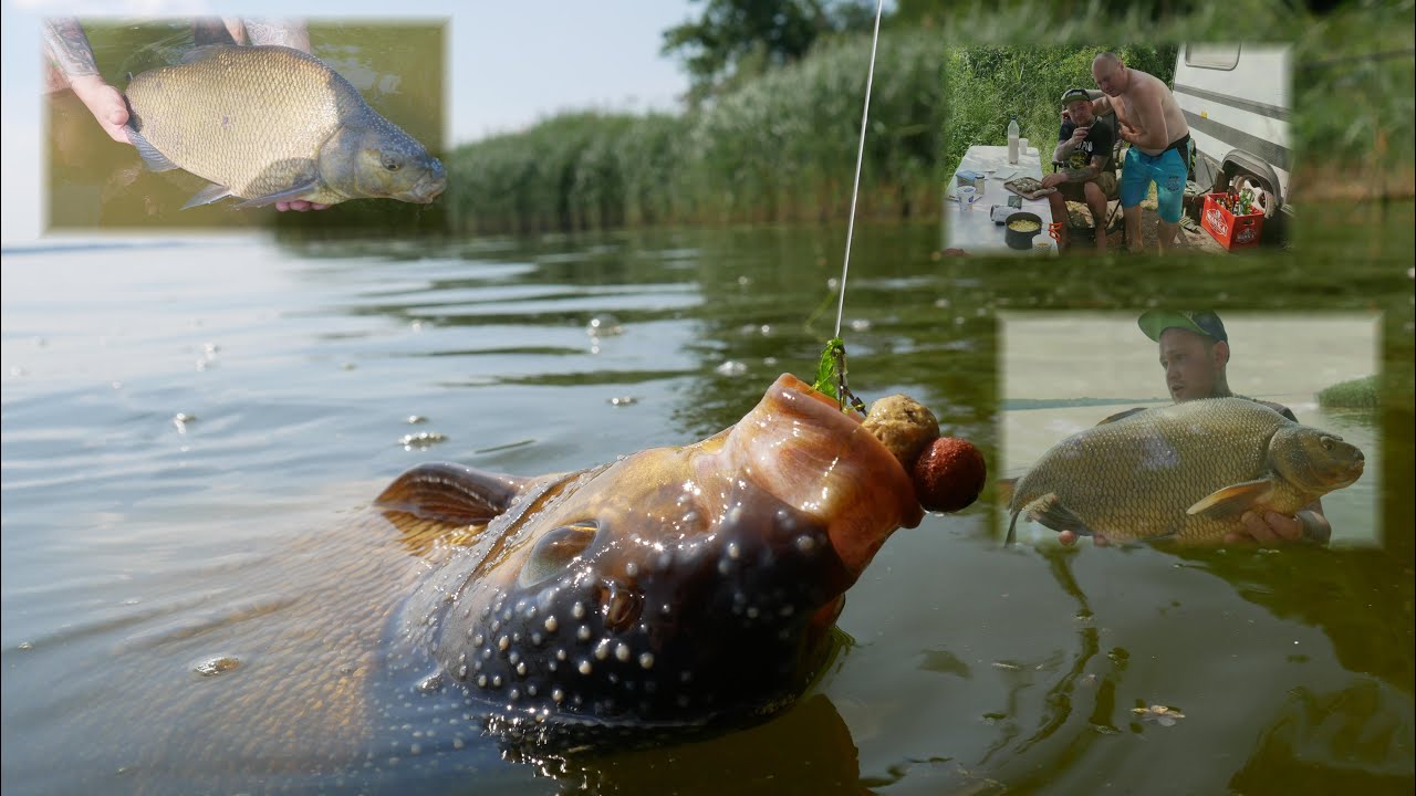 Wakacje.  Żurek,kiełbasa,leszcze,jezioro i ekipa MR