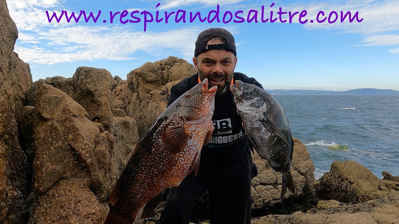 Queríais Sarguetes…TOMAR!!!