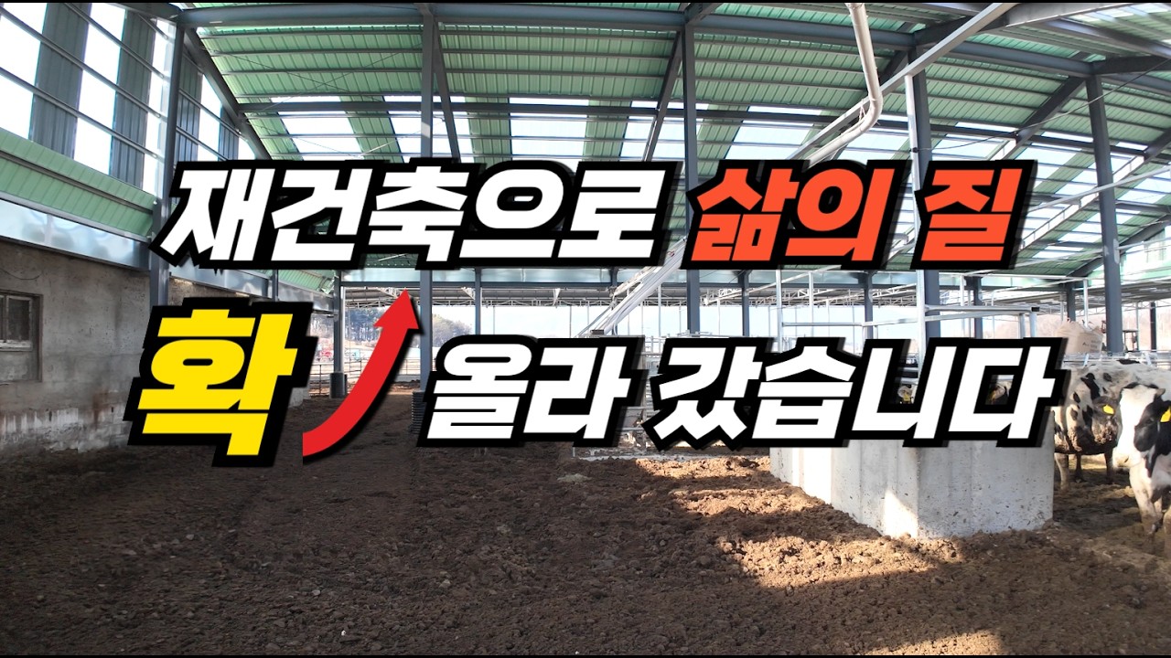 [축사TV-237-3편] 축사 재건축 l 축사 철골 지붕시공 l 축사 개보수 리모델링 l Rebuilding the barn Barn renovation(Eng sub)