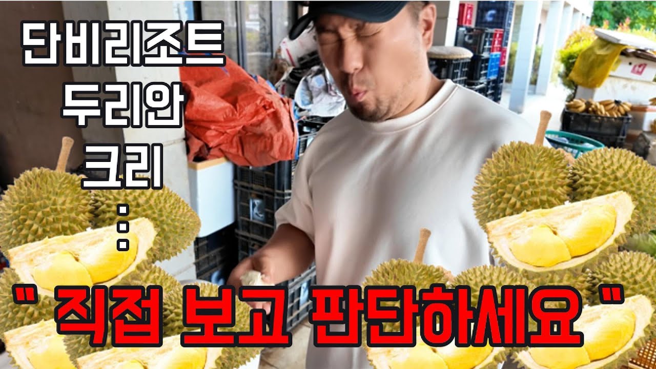 [🇵🇭 보홀] 6박8일 여행🏖️ 단비리조트, 두리안, 크리(KRI) 솔직 후기 공개‼️