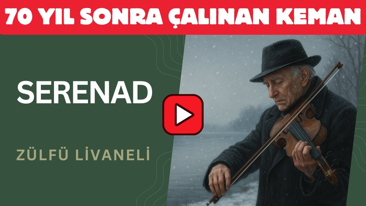 Serenad Kitap Özeti – Zülfü Livaneli’nin En Hüzünlü Romanı